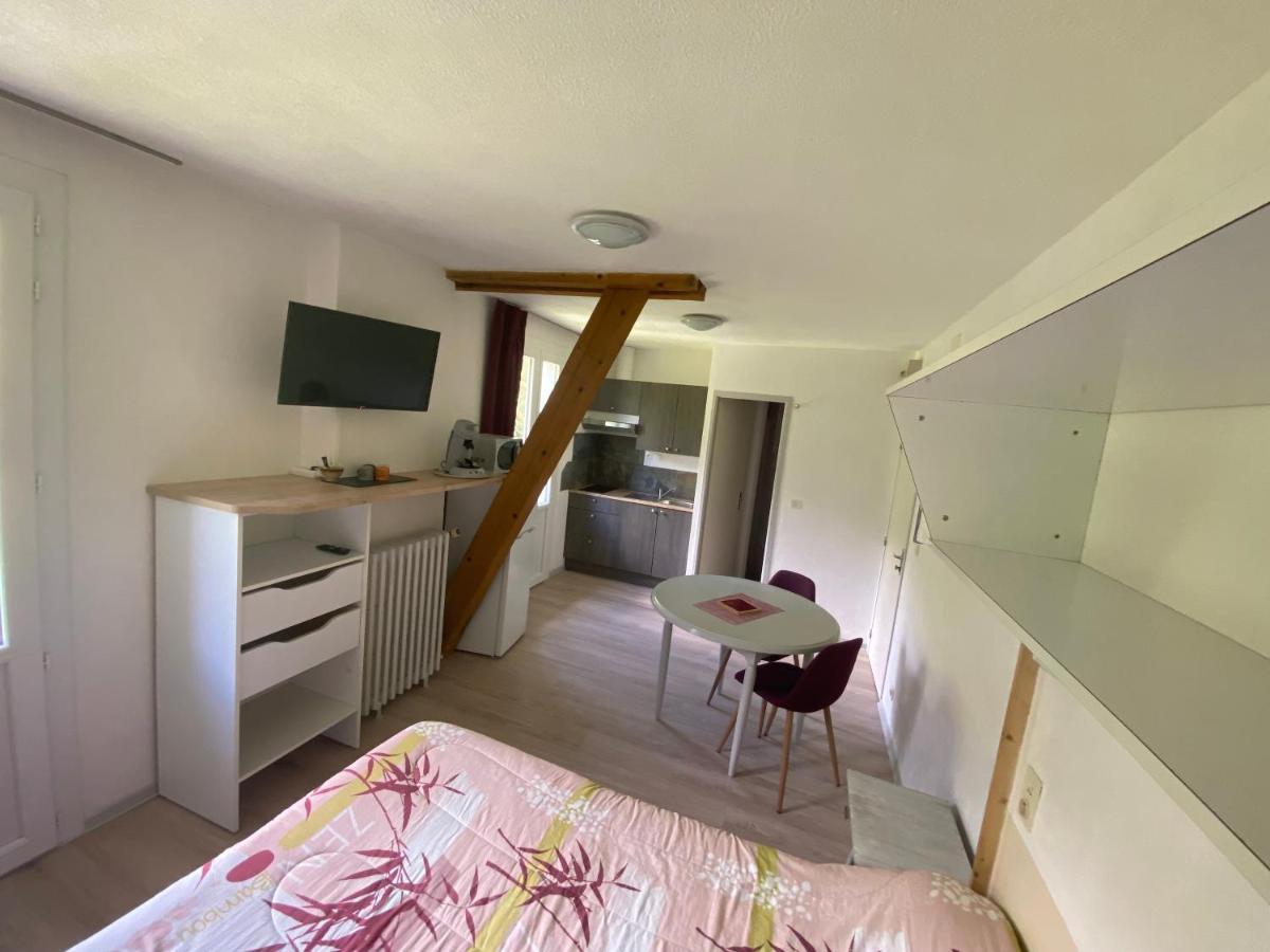 Appart Le Chili- Quartier Thermal- Parc Remarquable - Linge Fourni 吕兹-圣索沃尔 外观 照片