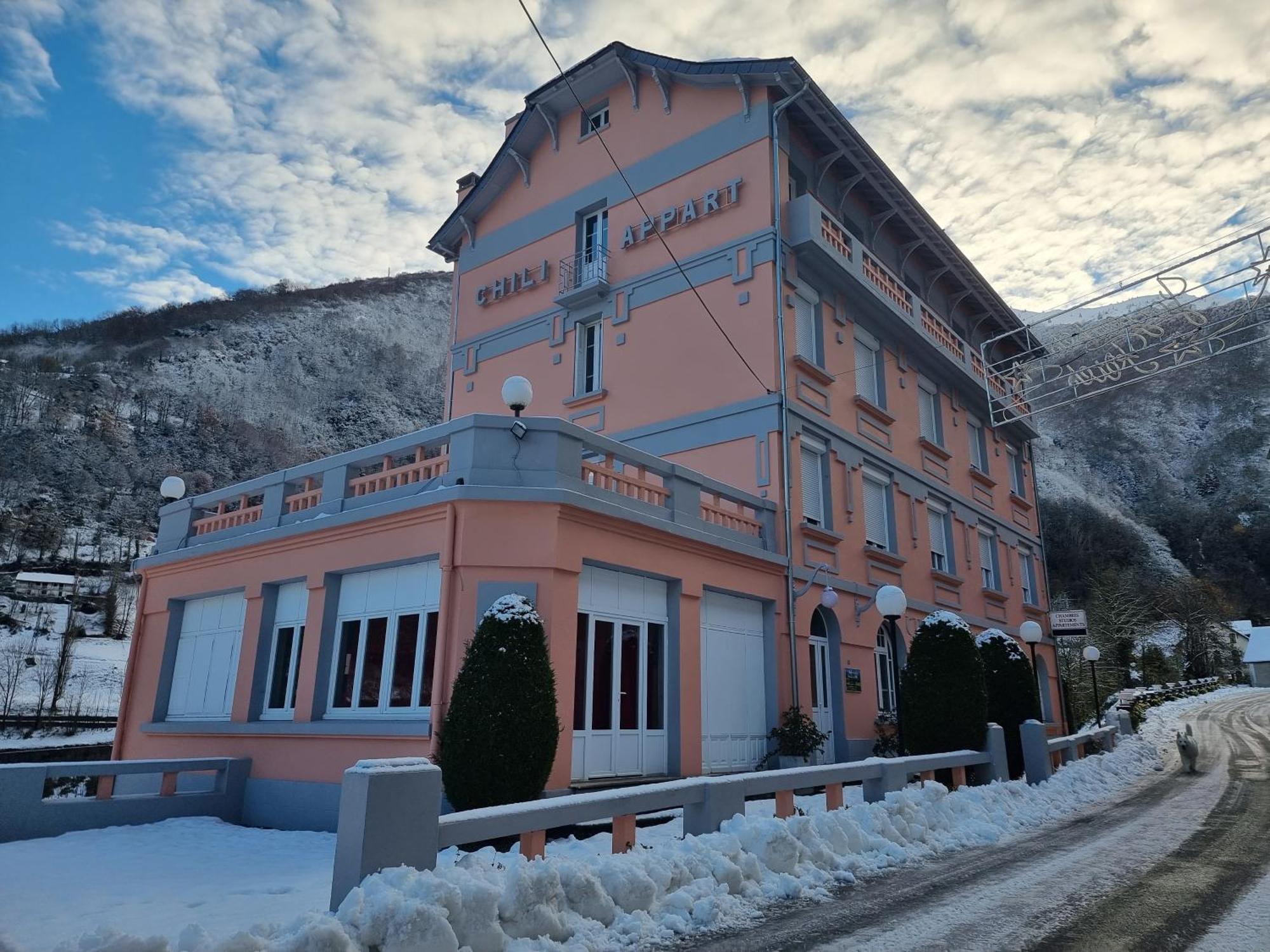 Appart Le Chili- Quartier Thermal- Parc Remarquable - Linge Fourni 吕兹-圣索沃尔 外观 照片