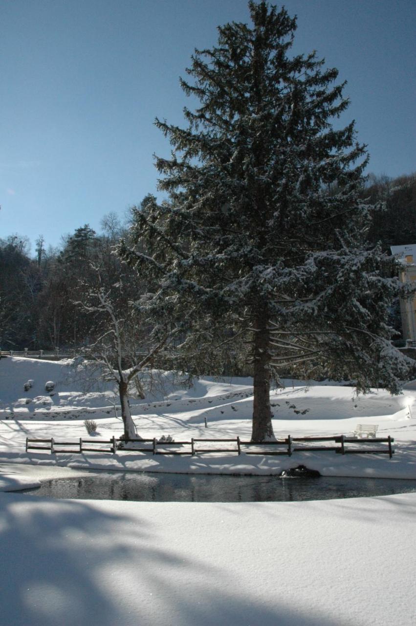 Appart Le Chili- Quartier Thermal- Parc Remarquable - Linge Fourni 吕兹-圣索沃尔 外观 照片